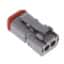 DT06-2S-TN31